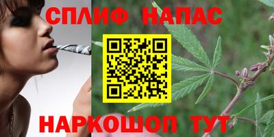 тгк Партизанск